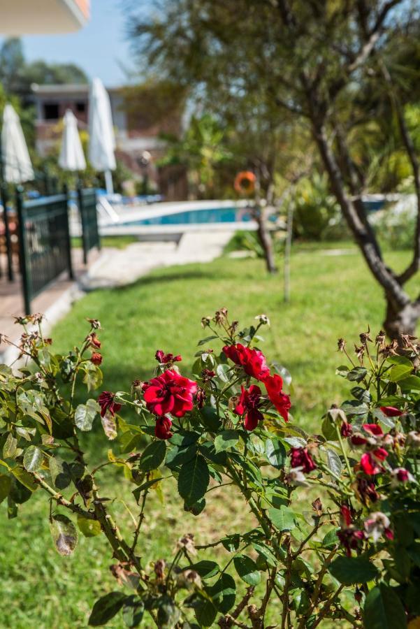 Dimas V House Aparthotel Parga Exterior photo