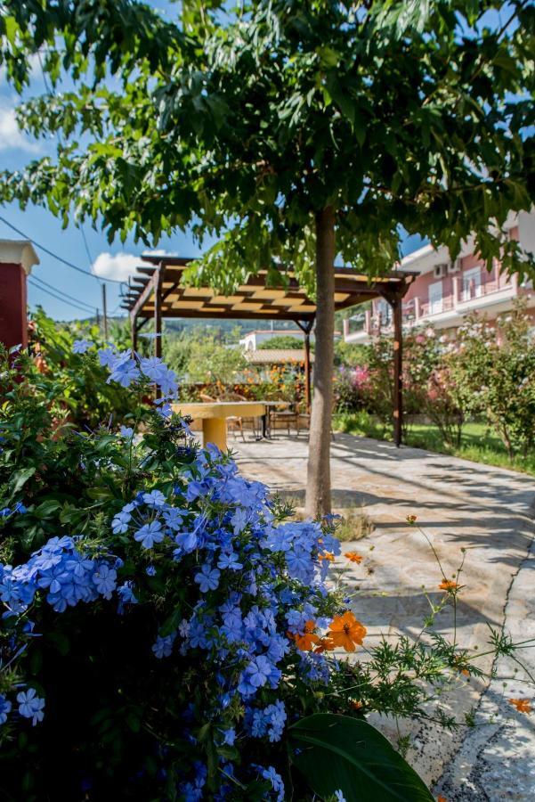 Dimas V House Aparthotel Parga Exterior photo