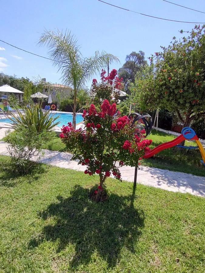 Dimas V House Aparthotel Parga Exterior photo