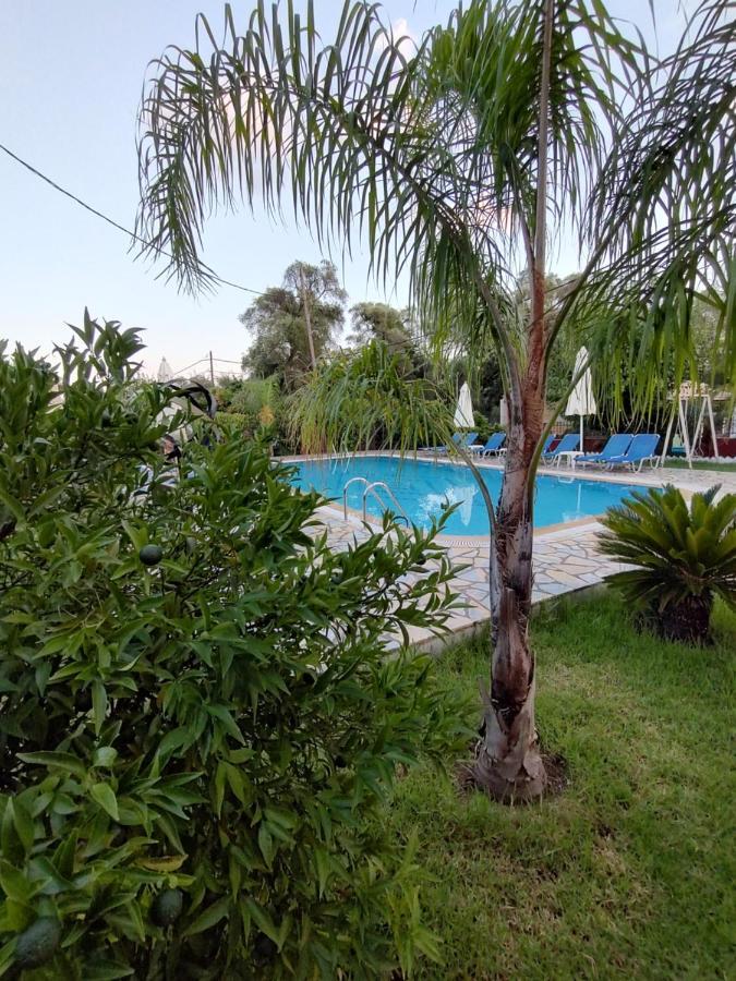Dimas V House Aparthotel Parga Exterior photo