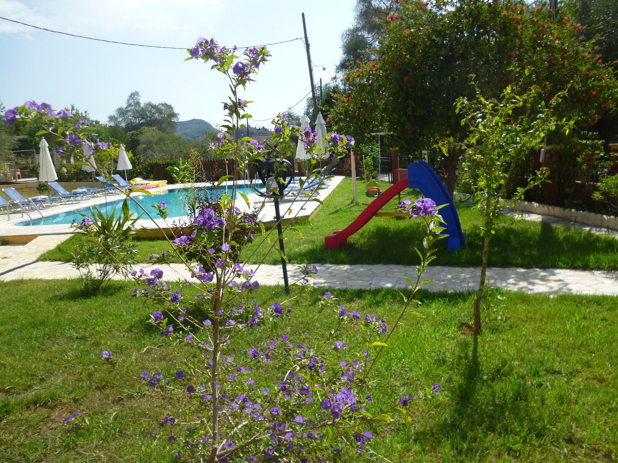 Dimas V House Aparthotel Parga Exterior photo